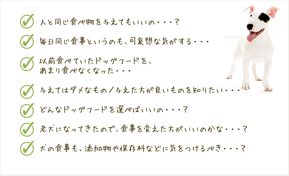 愛犬の食事に関する“こんな疑問”はありませんか？