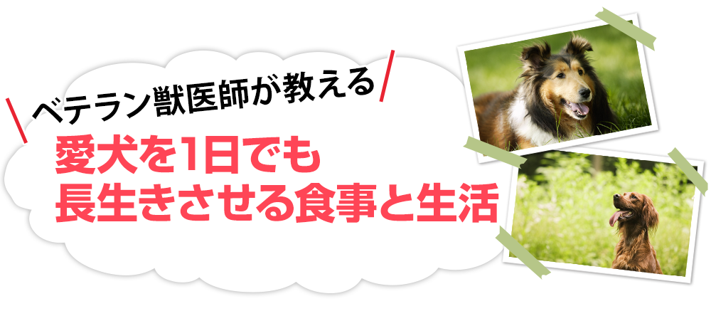 愛犬を長生きさせる食事 あなたの選ぶペットフードで寿命が変わる